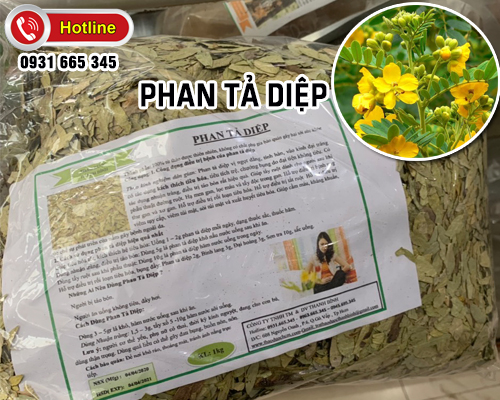 Phan tả diệp khô 1kg - đông y thanh bình