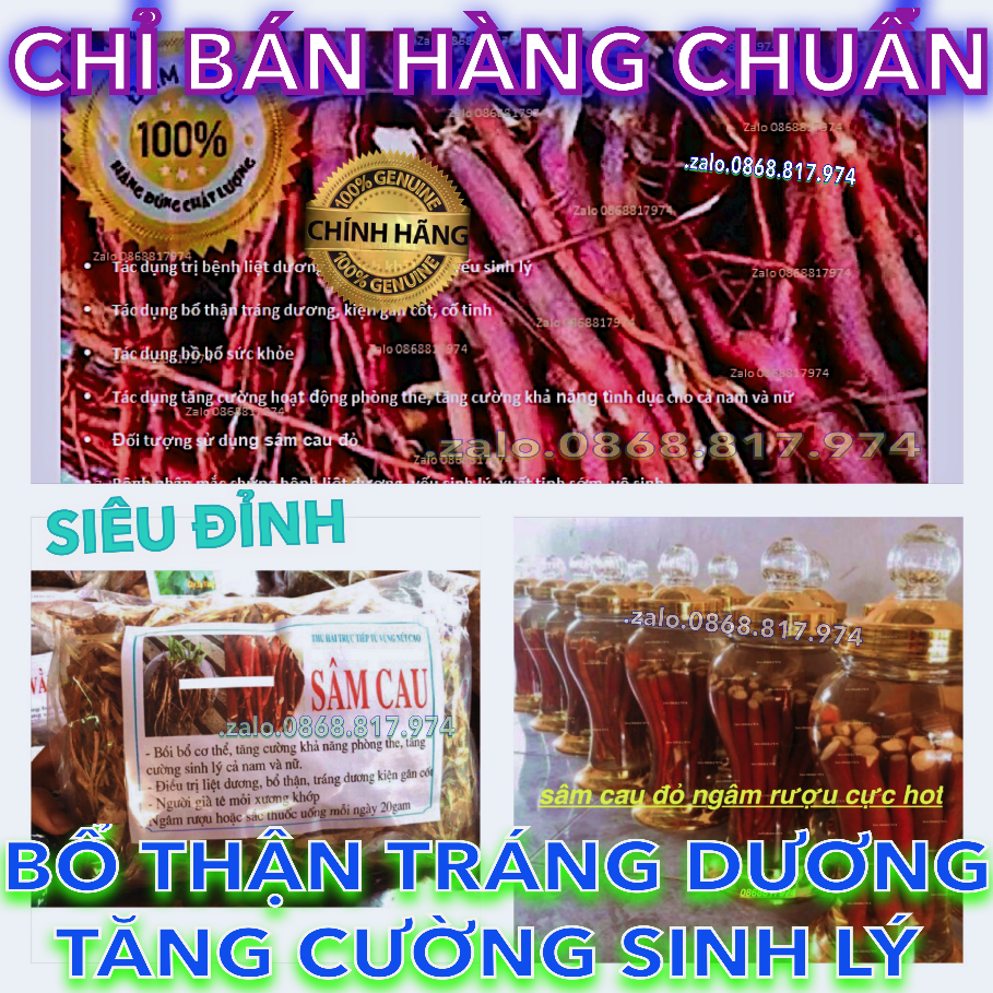 4BỘ SÂM CAU ĐỎ SIÊU ĐỈNH KHÔ hoặc TƯƠI KHẮC TINH-LIỆT-DƯƠNG+YẾU-SINH-LÝ-MỆT MỎI-BỔ-THẬN-TRÁNG-DƯƠNG-KIỆN GÂN CỐT-BỒI BỔ SCD T 2.3