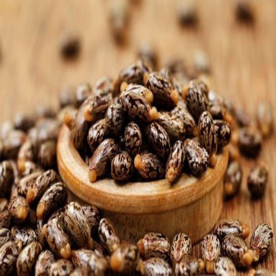Hạt Thầu Dầu Giúp Mượt Và Kích Thích Mọc Tóc 200G