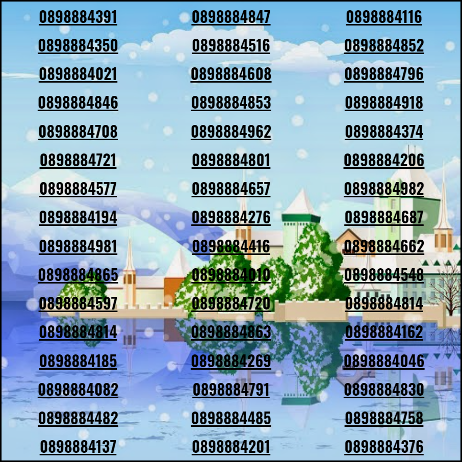 [HCM]Sim số đep tân gia