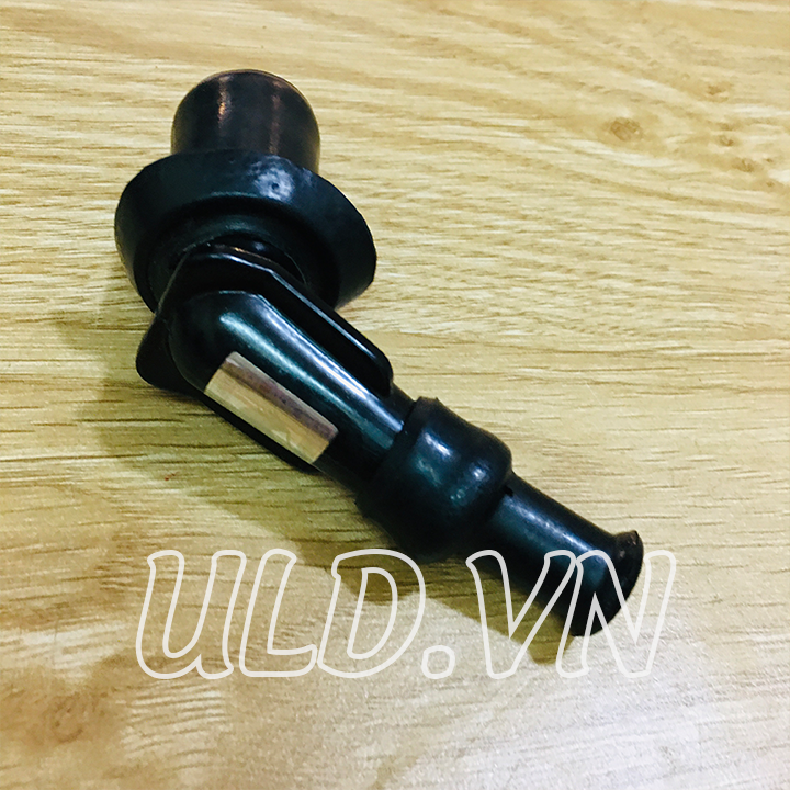 [HCM]CHỤP BU GI ATILA