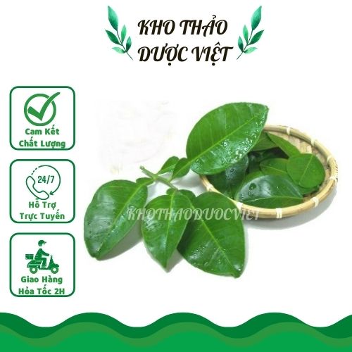 1kg lá bưởi khô giải cảm gội đầu mượt tóc.