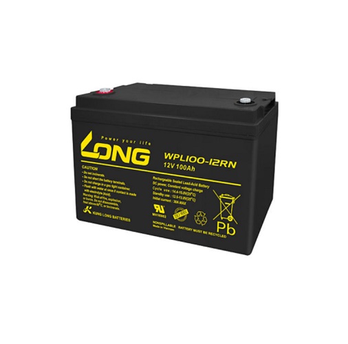 Ắc Quy LONG 12V 100Ah WPL100-12RN - (PDC-TECH)