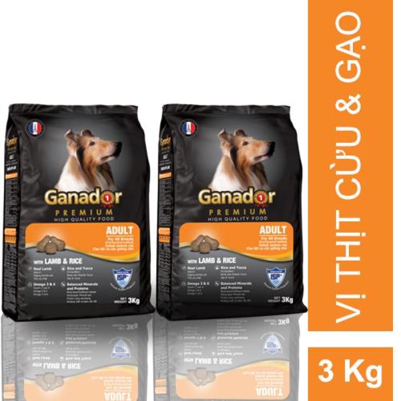 Combo 2 gói thức ăn cho chó trưởng thành Ganador vị thịt cừu và gạo Adult Lamb and Rice 3kg