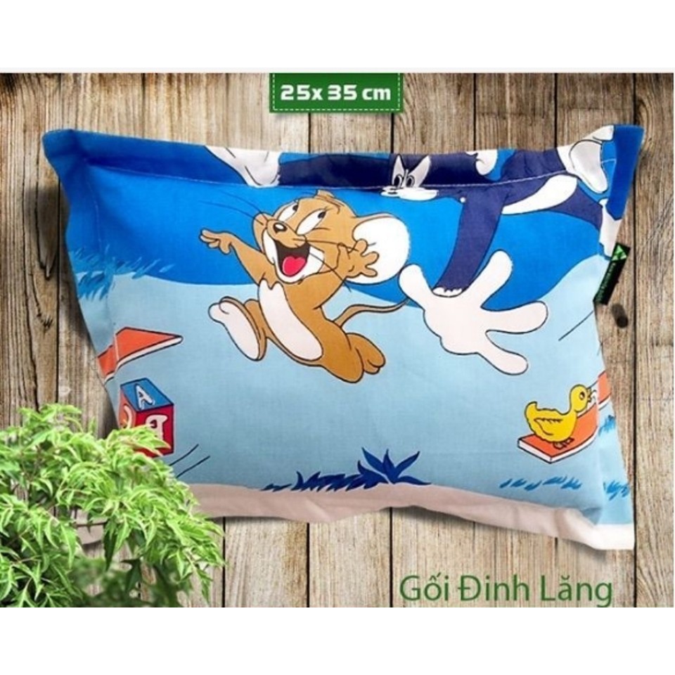 Gối Đinh Lăng chống mồ hôi trộm