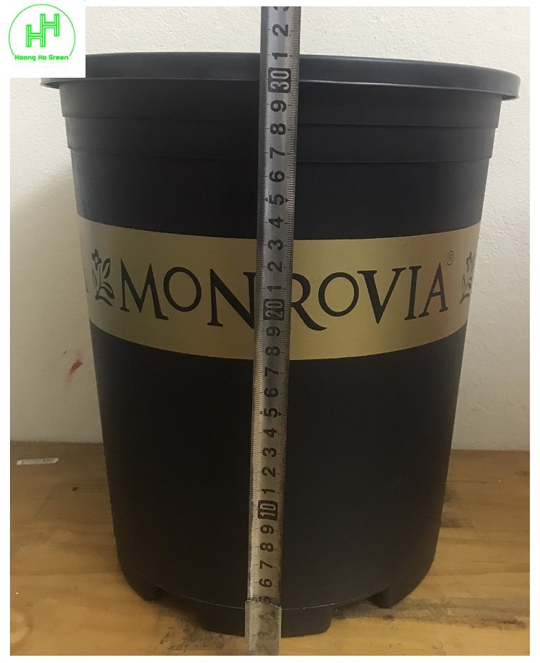 10 Chậu MONROVIA CH Garden 5Gal