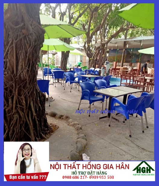 Ghế nhựa nữ hoàng HGH