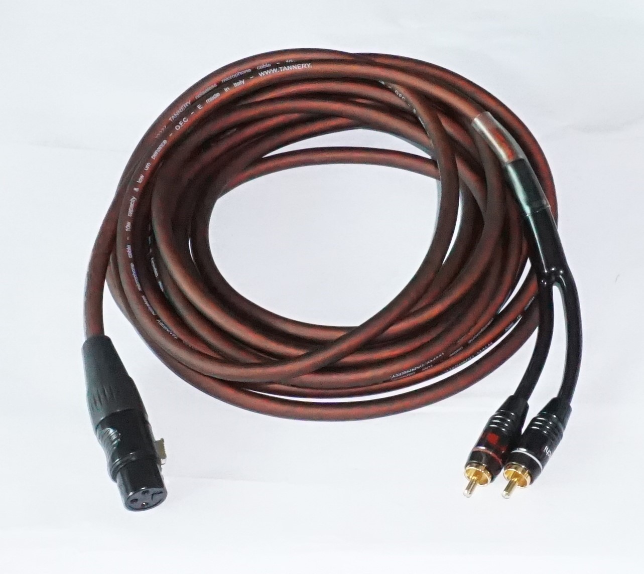 Dây canon cái ra 2 av ( vang xuống sub ) dài 5m