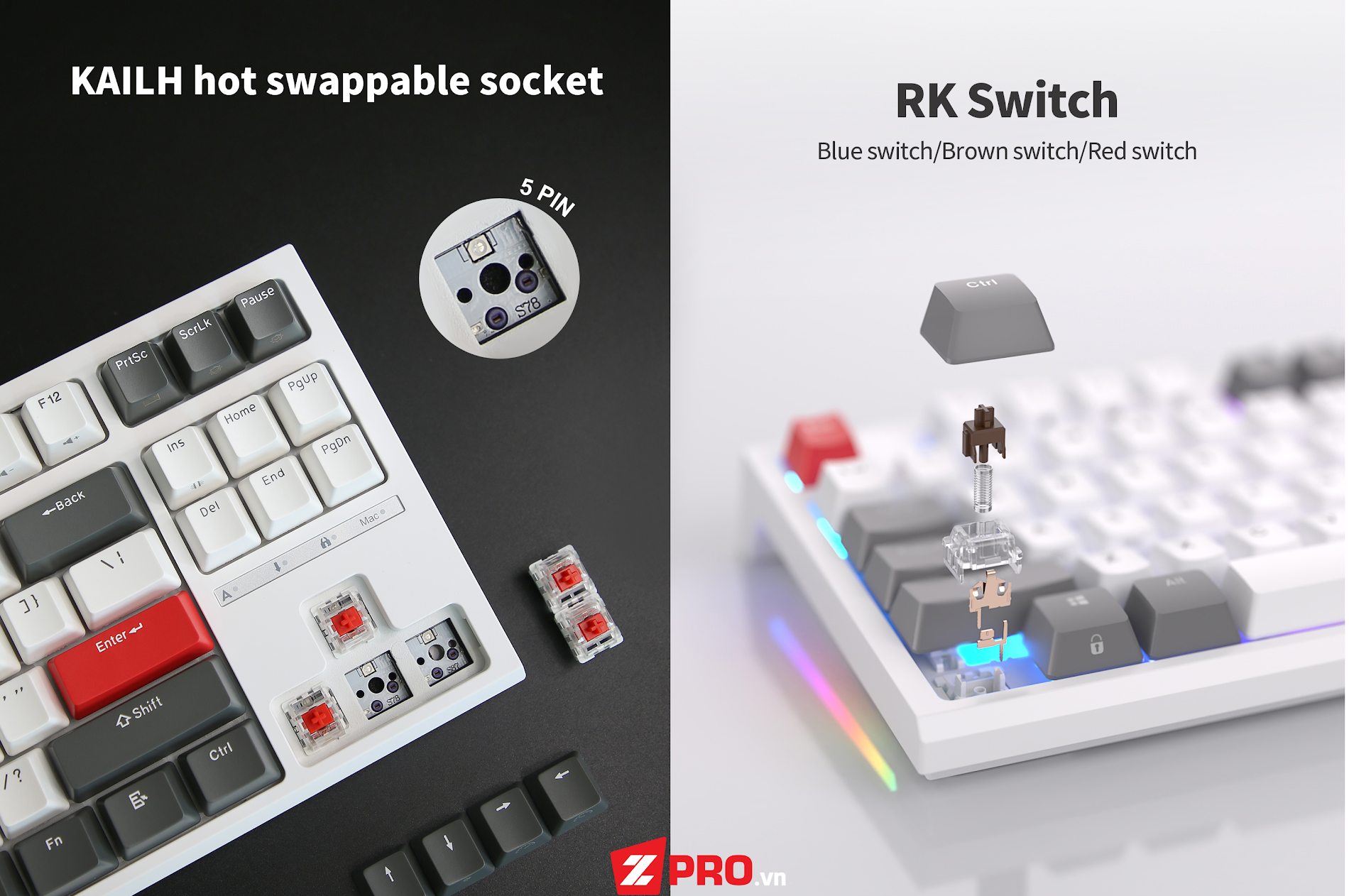 Zpro.vn - Bàn phím cơ Royal Kludge RK R87 (Hotswap, Keycap PBT)