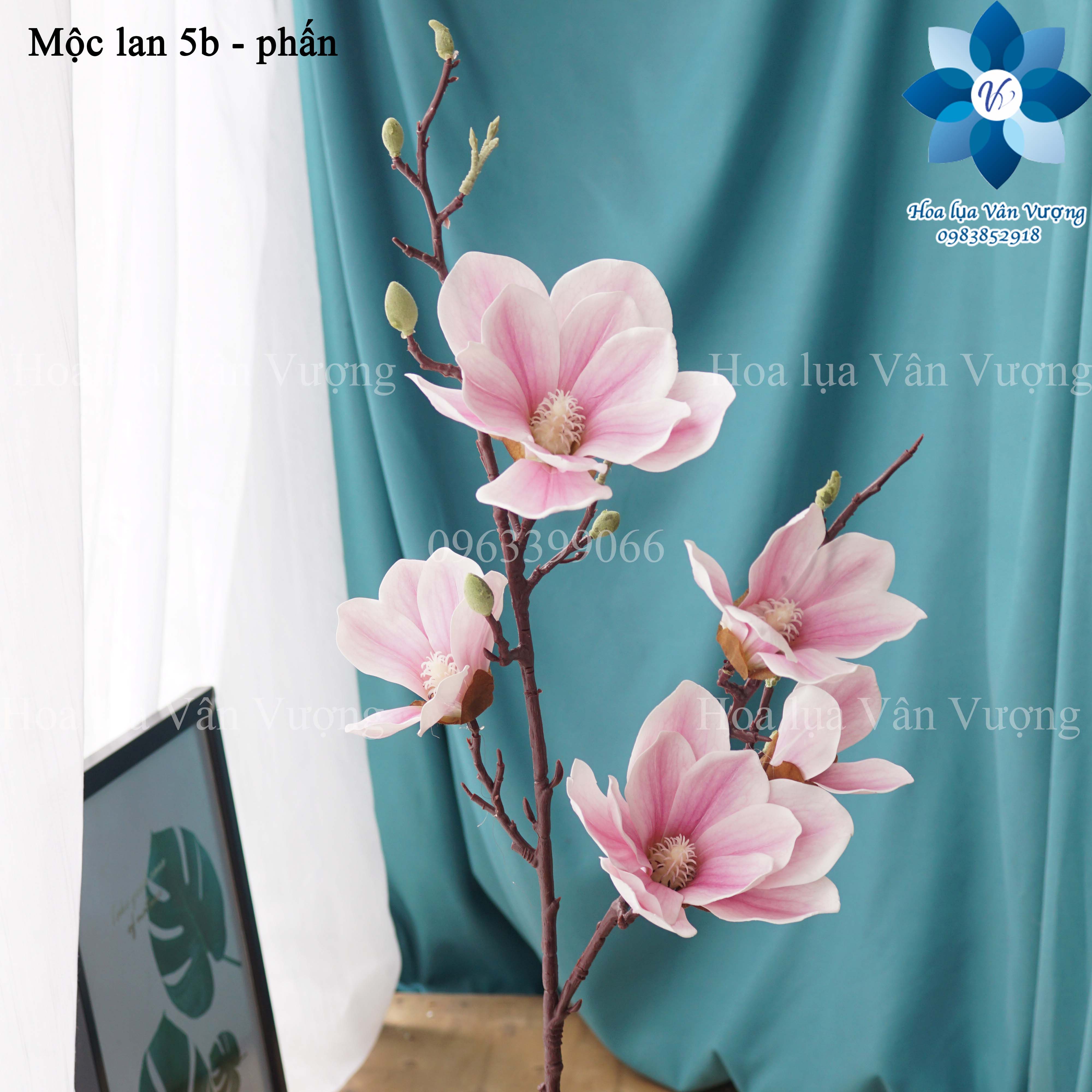 Hoa Giả, Cành Hoa Mộc Lan 5 Bông