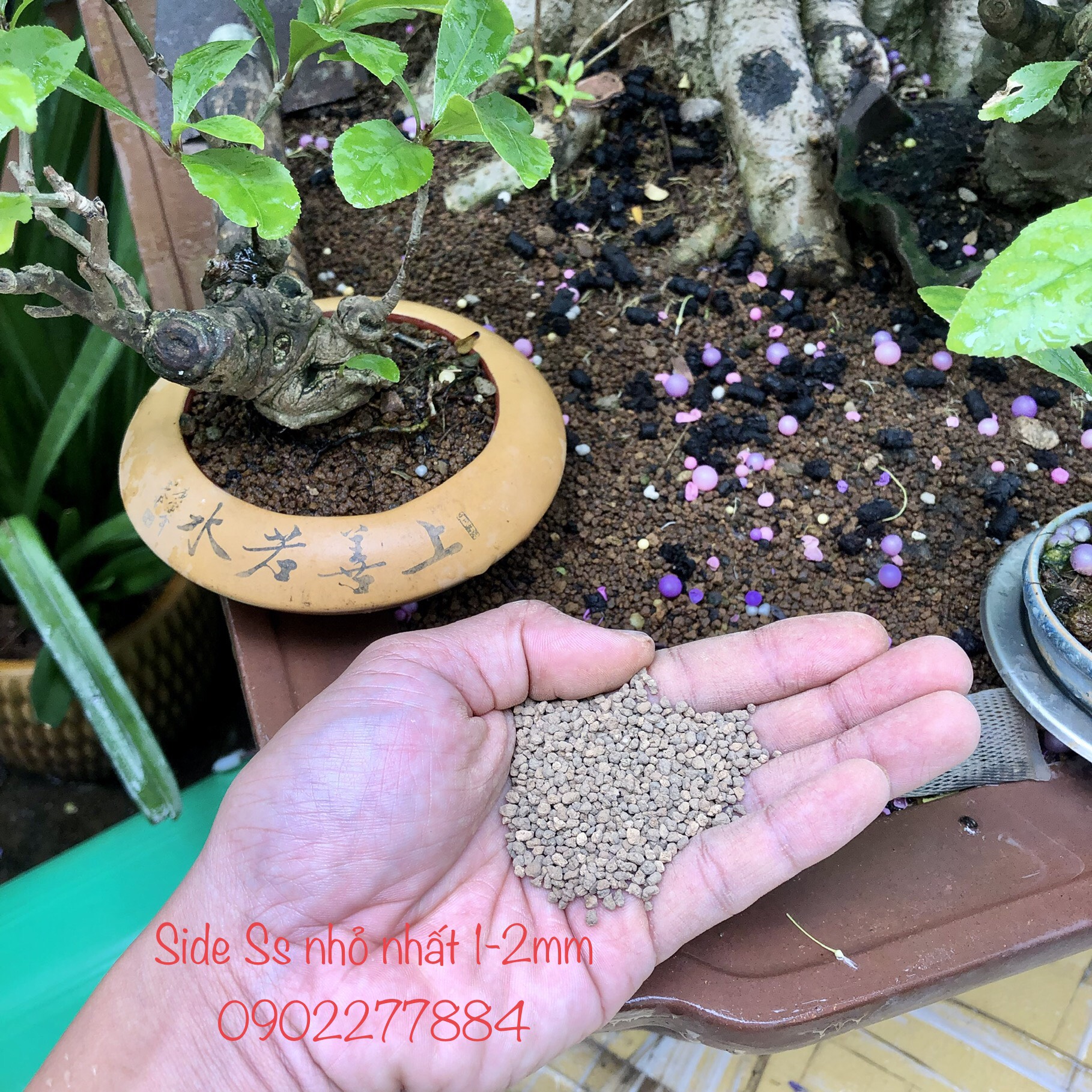 Đất Akadama Nhật Bản Super Hard đủ side Nguyên Bao 14 lít