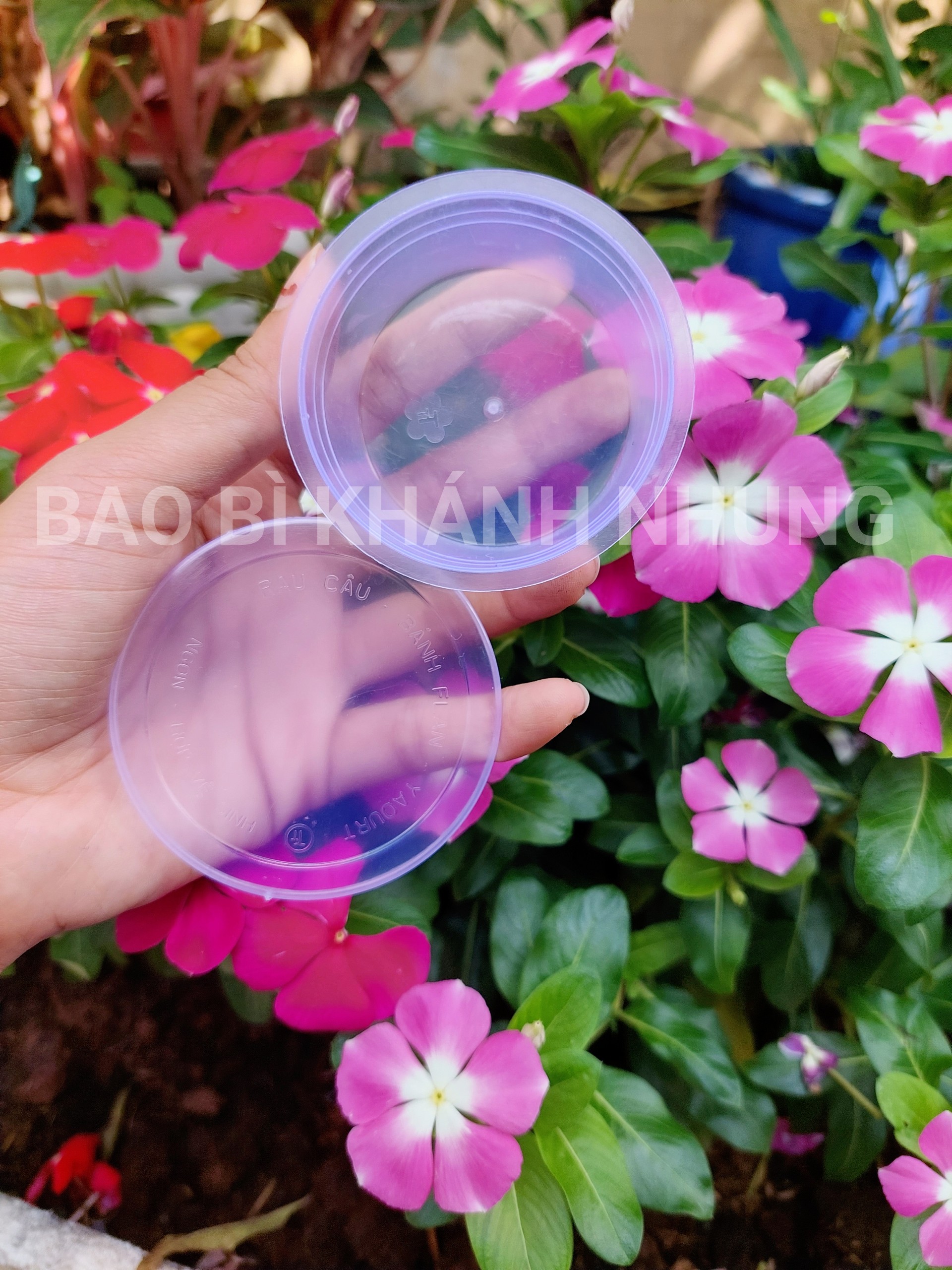 50 HŨ LÀM BÁNH PLAN - KÈM NẮP