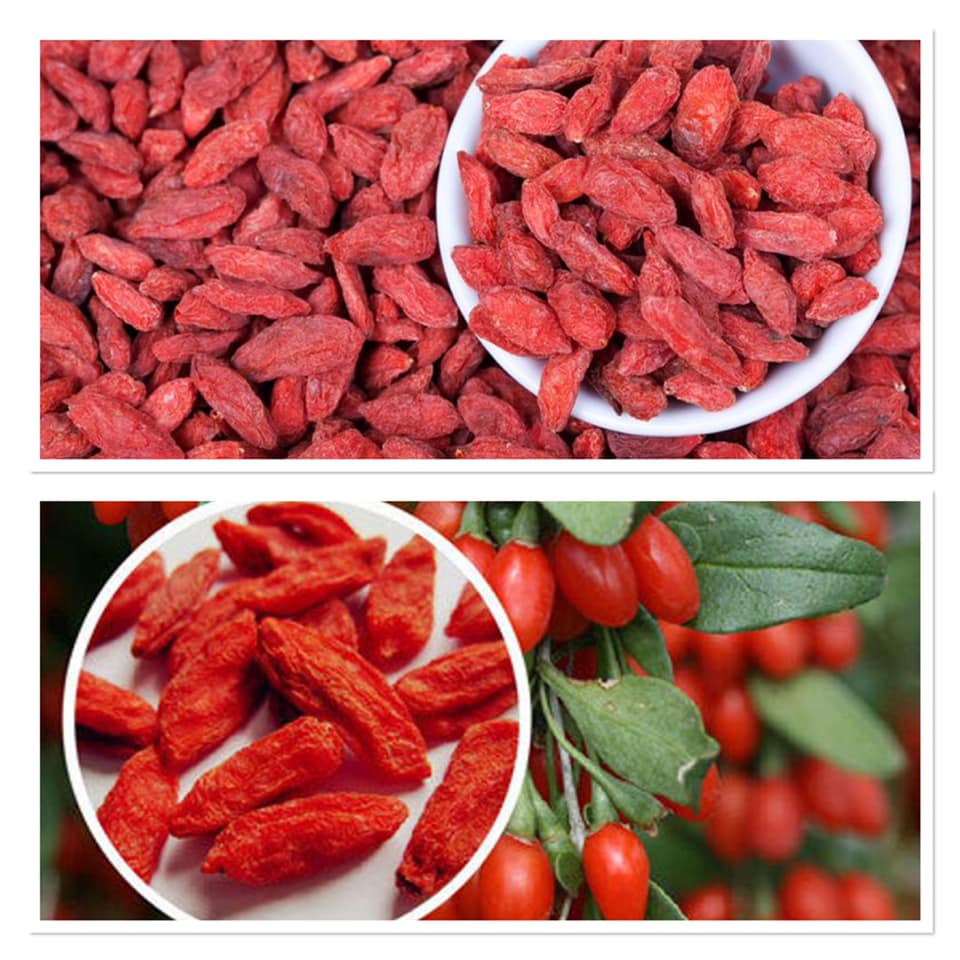 Kỷ tử 500Gr
