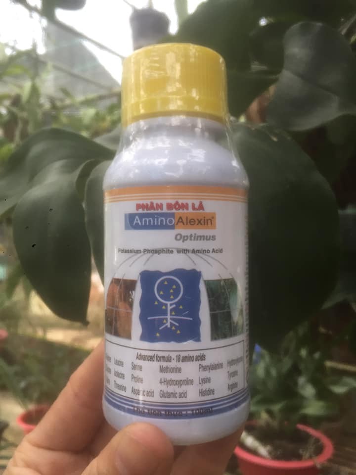 PHÂN BÓN AMINO ALEXIN 100ml