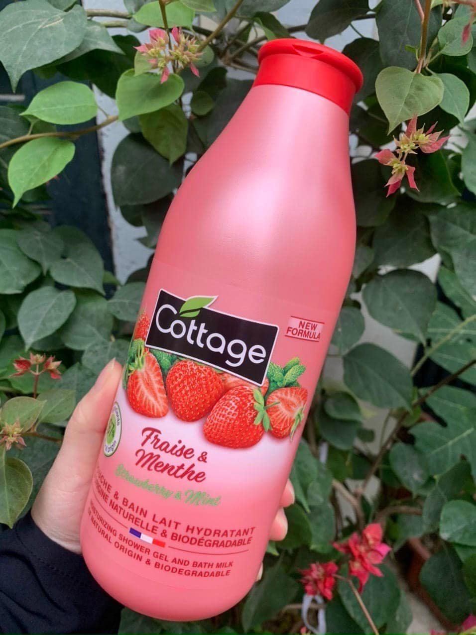 𝐒ữ𝐚 𝐓ắ𝐦 𝐃ưỡ𝐧𝐠 𝐓𝐫ắ𝐧𝐠 𝐃𝐚 𝐂𝐨𝐭𝐭𝐚𝐠𝐞 𝟕𝟓𝟎𝐦𝐥 𝐏𝐡á𝐩