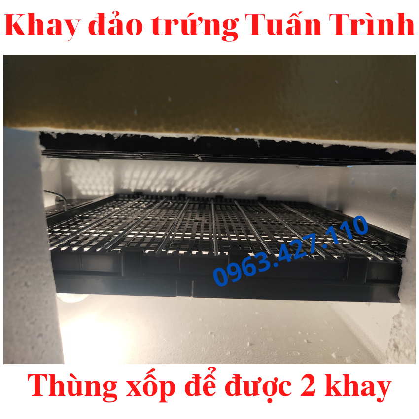 khay đảo trứng cút 120 trứng