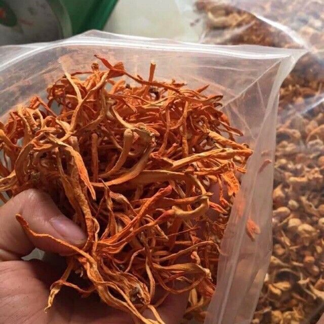 100GR ĐÔNG TRÙNG HẠ THẢO SẤY KHÔ