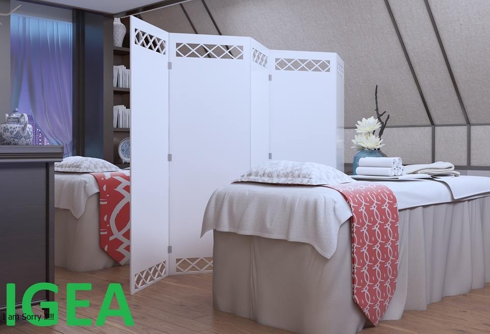 Vách Ngăn Bình Phong Kín IG465 - (322k 1 tấm kèm 2 chân)