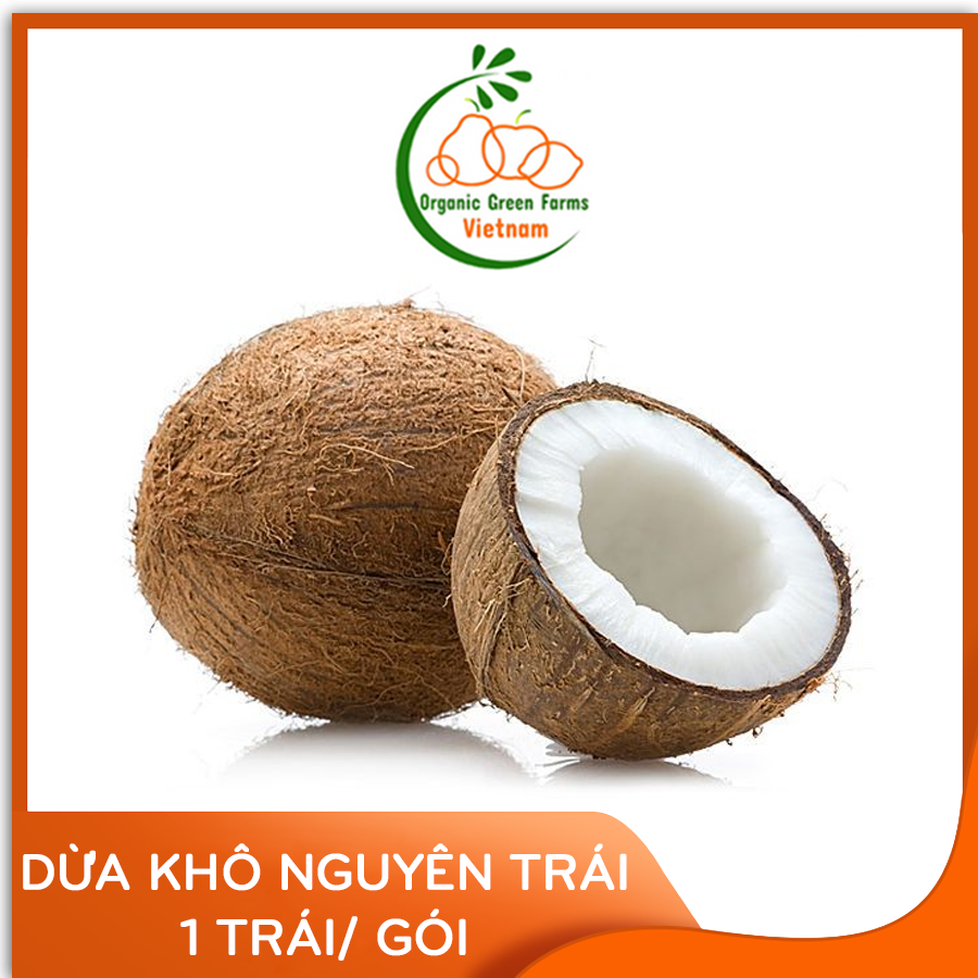 [OGF] - Dừa khô Bến Tre gọt vỏ (750 - 1000 Gr/Trái/Bao) - [ Giao nhanh 4h HCM ]