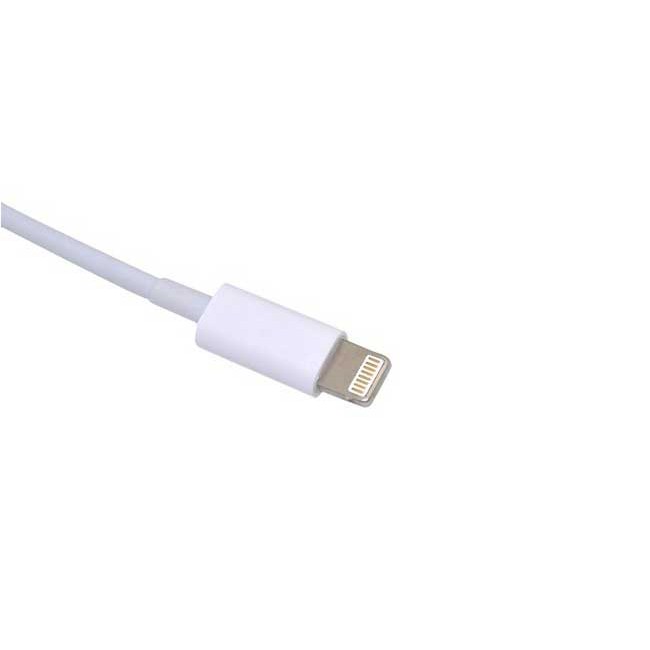 Cáp Lightning USB OTG Cho iPad 4 iPad Mini iPhone 5