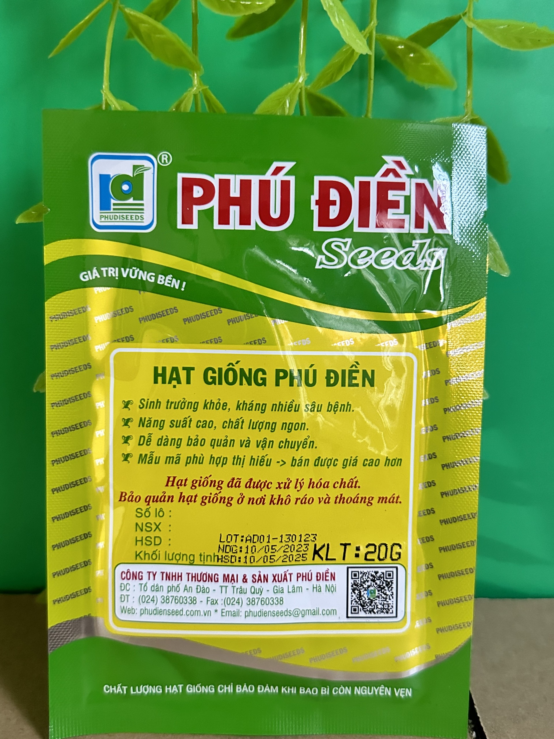 Hạt giống rau cải bó xôi