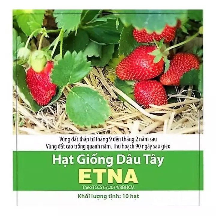 Dâu tây Etna (10 hạt)