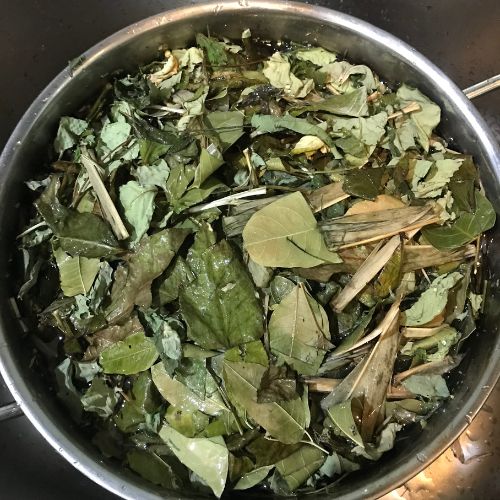 Gói tắm thảo dược thú cưng