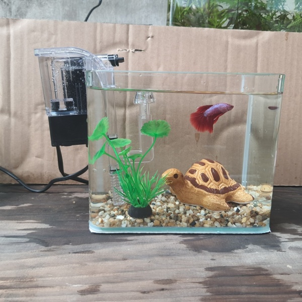 Set bể cá mini uốn góc 18 cm và 6 món (bể, sỏi nền, máy lọc nước, men vi sinh, cây nhựa mini, pk rùa)