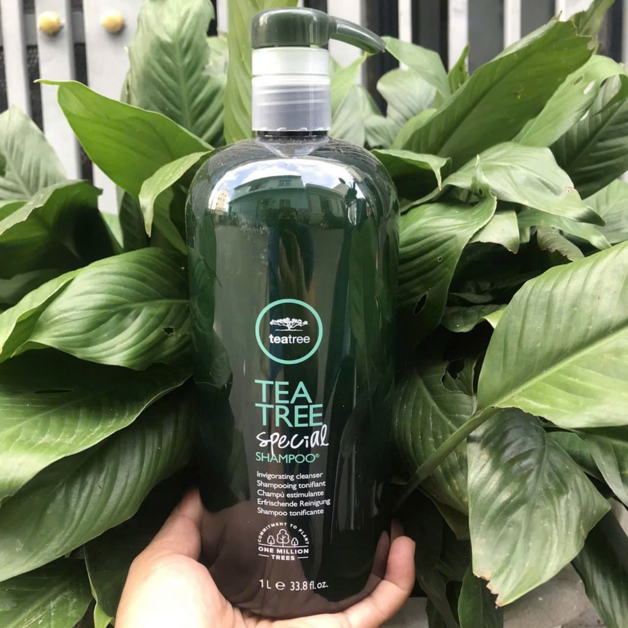 DẦU GỘI XẢ TRÀ XANH BẠC HÀ HỖ TRỢ TRỊI GÀU 1000ML, KHÁNG KHUẨN PAUL MITCHELL TEA TREE USA1000ml