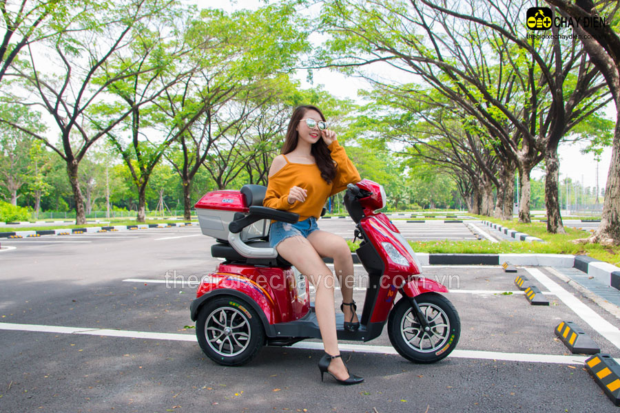[HCM]XE MÁY ĐIỆN 3 BÁNH CÓ CỐP SAU