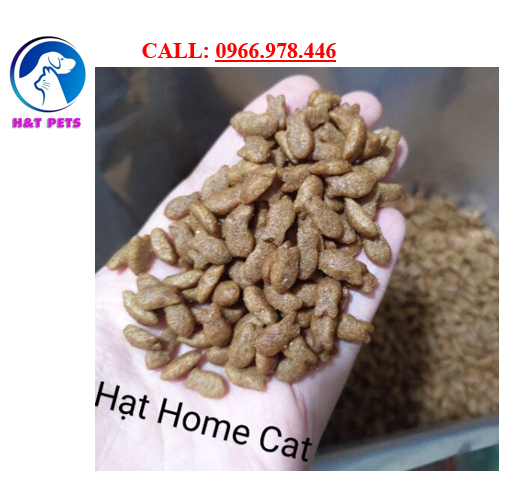 [TẶNG X.xích] Thức ăn mèo HOME CAT 5kg siêu rẻ
