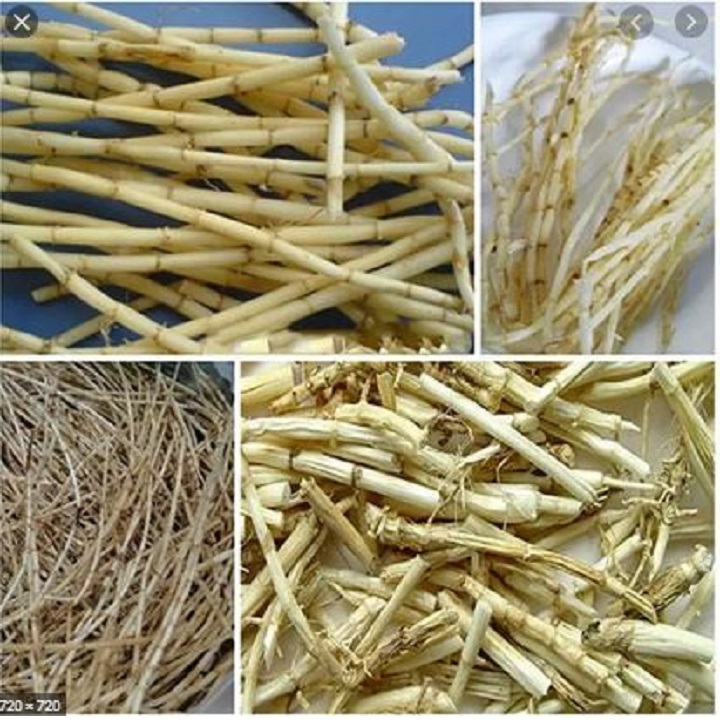 RỄ CỎ TRANH KHÔ (thanh nhiệt giải độc)100gr