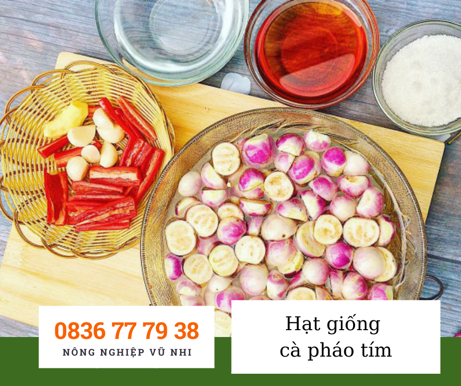 Hạt giống c&agrave; ph&aacute;o t&iacute;m