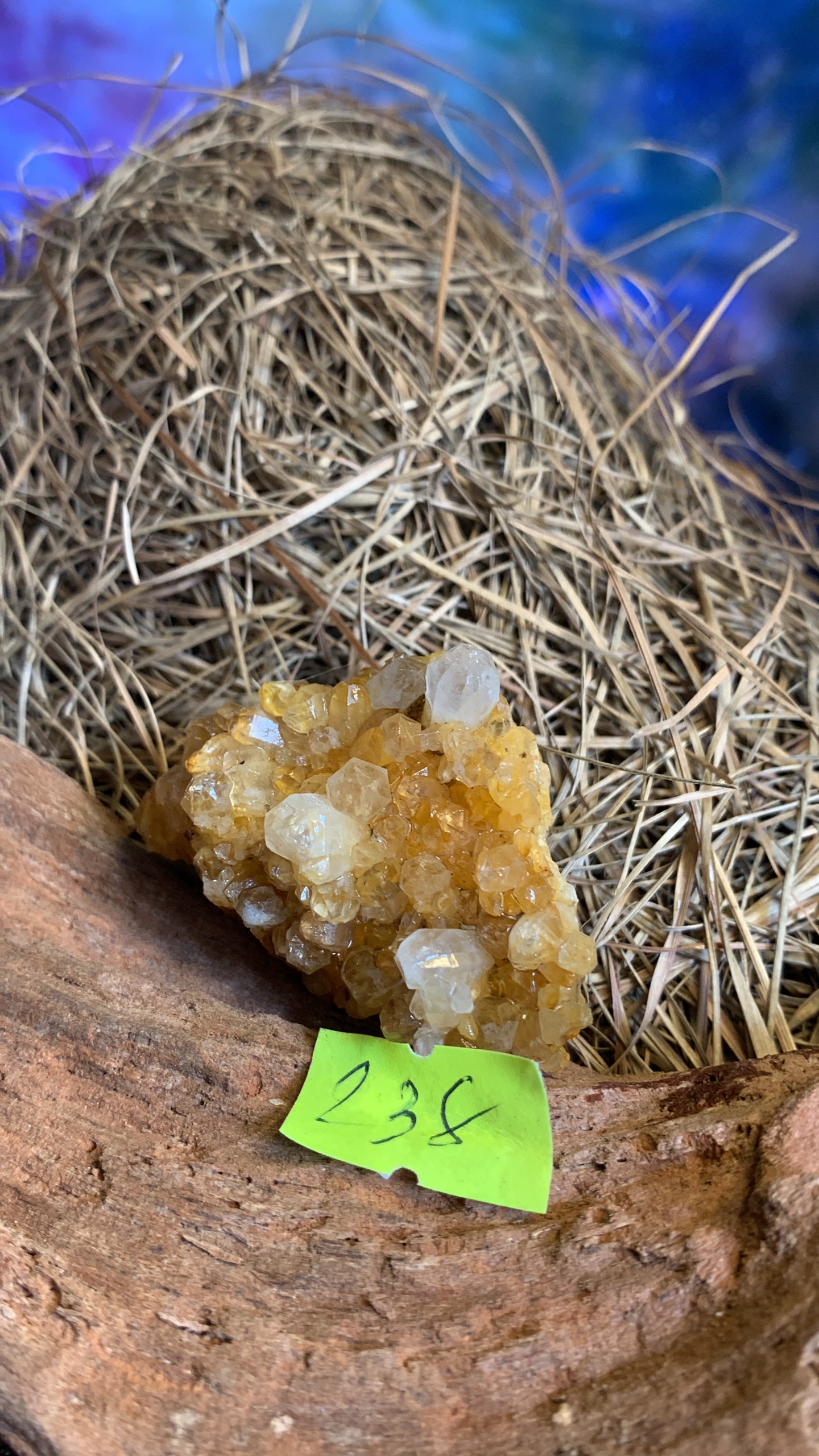 Đá Thạch Anh màu vàng citrine lemurian tự nhiên bán để gieo duyên 238