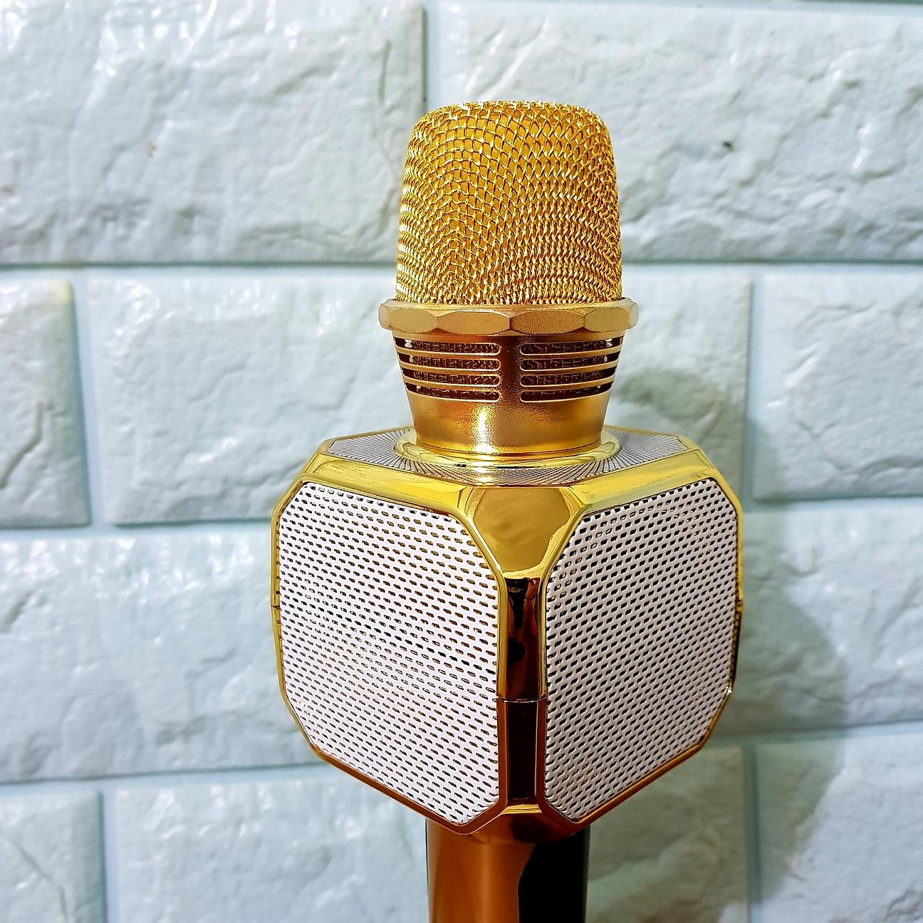 Micro Hát Karaoke Kèm Loa Bluetooth SD-10 Chính Hãng SDRD