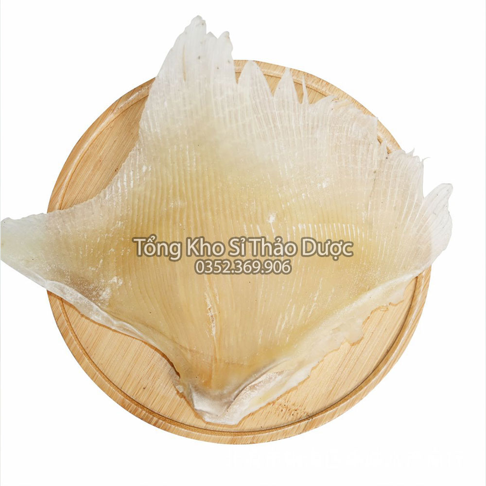 Vi cá mập nguyên miếng 100g (Tốt cho xương khớp, sáng mắt, nấu súp bào ngư)