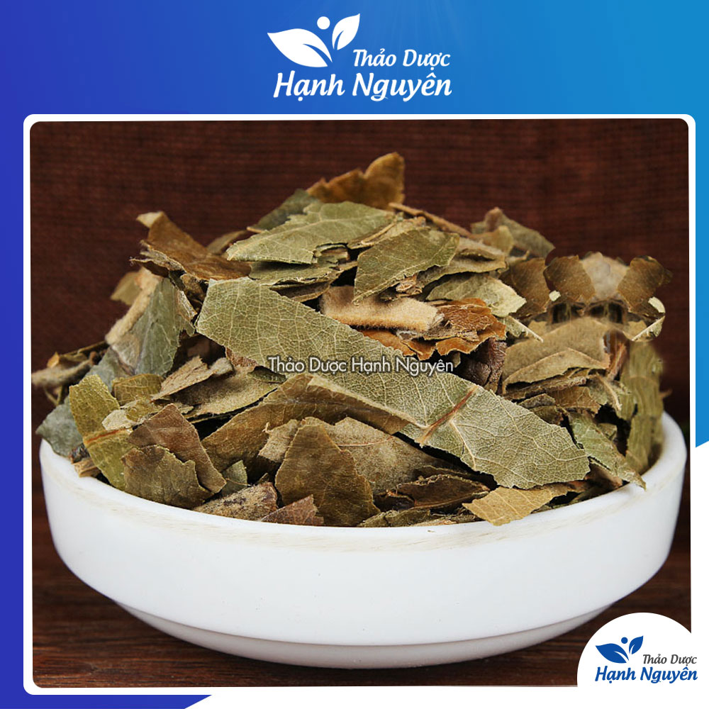 Lá tỳ bà diệp 1kg, lá tỳ bà khô, sạch, thơm - Thảo Dược Hạnh Nguyên