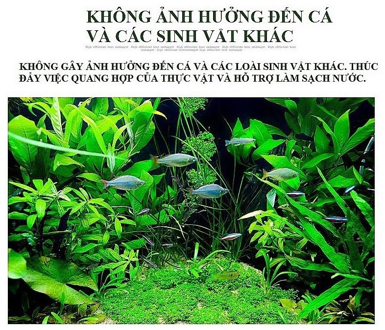 Set 60 viên sủi cung cấp CO2 cho hồ thủy sinh