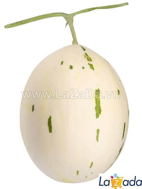 25 HẠT Hạt Giống Dưa Lê Đốm Hàn Quốc (B3.504| A2*X55*M180)