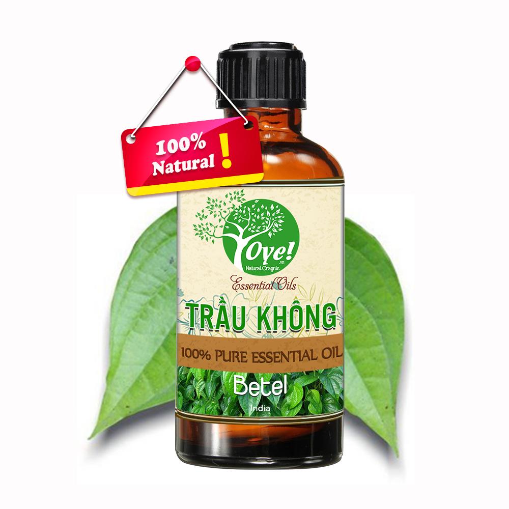 Tinh Dầu Trầu Không 50ml Nguyên Chất