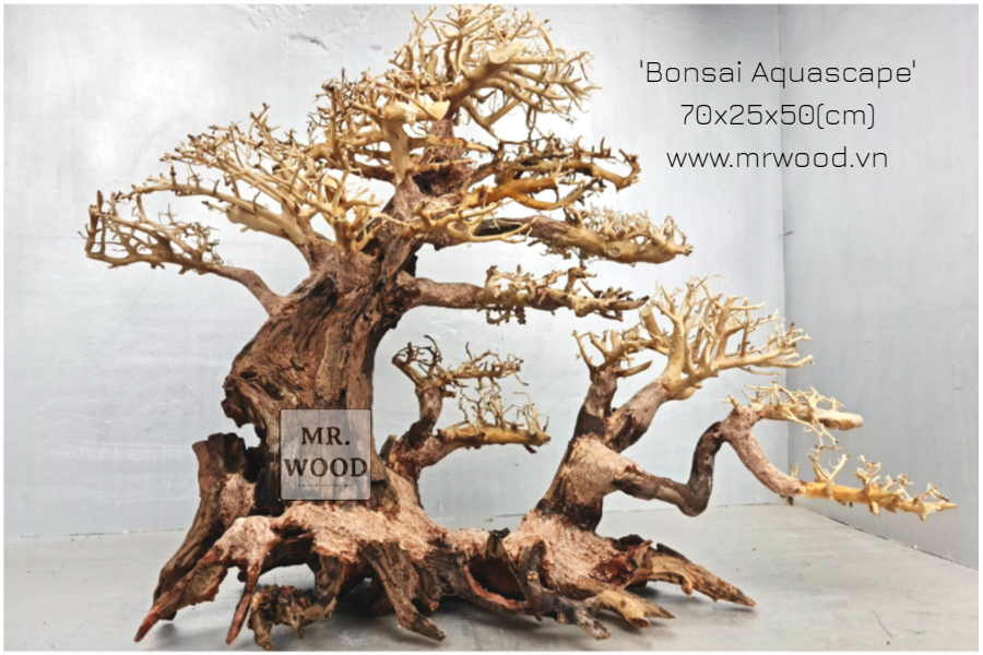 Lũa Bonsai Hai Thân Cho Hồ Thủy Sinh- Xưởng Lũa Mr Wood