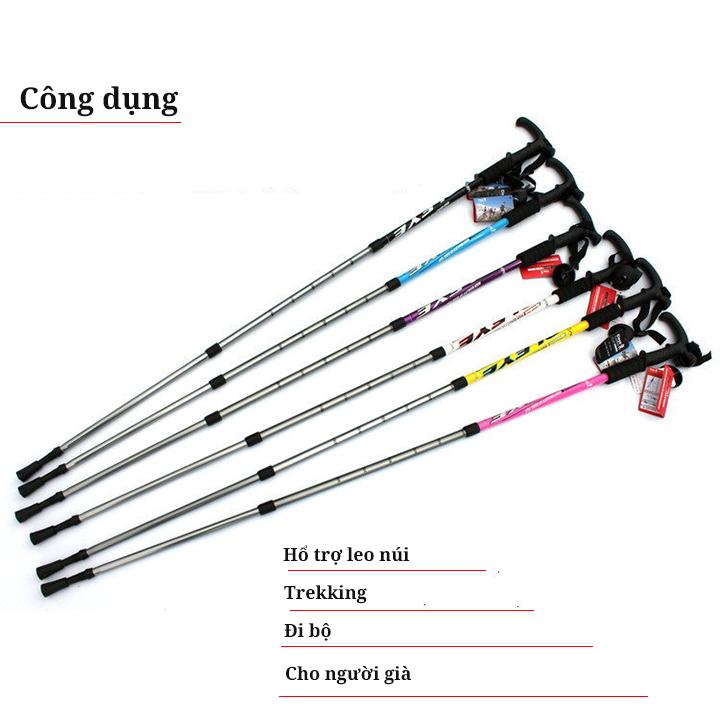 [HCM]Gậy leo núi đi rừng trekking GA2