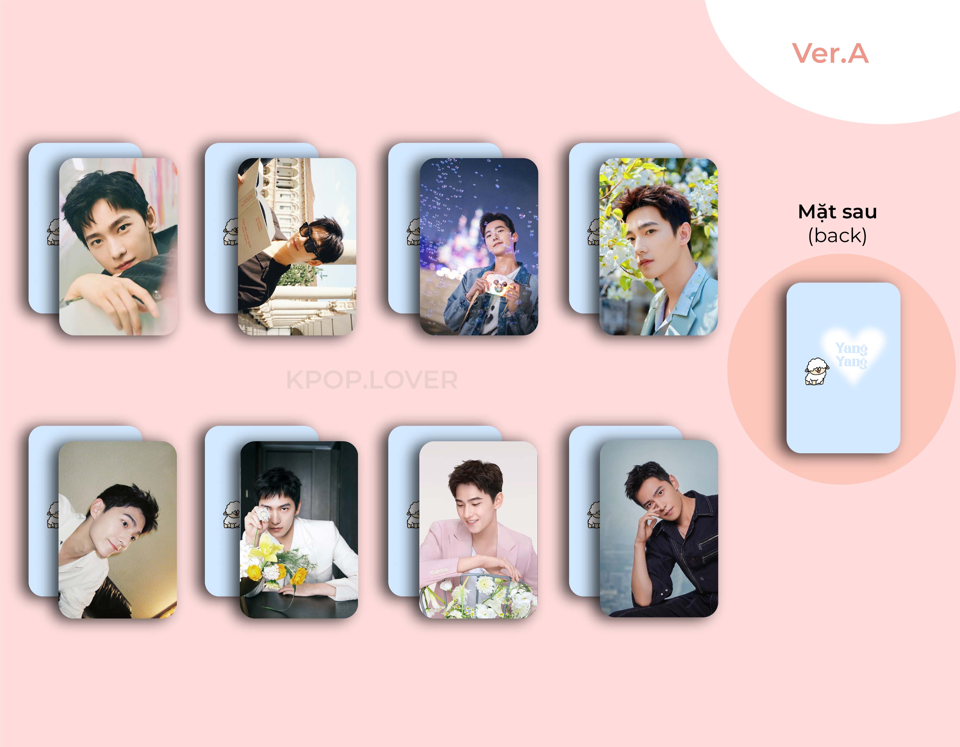 Set 8 card bo góc dương dương