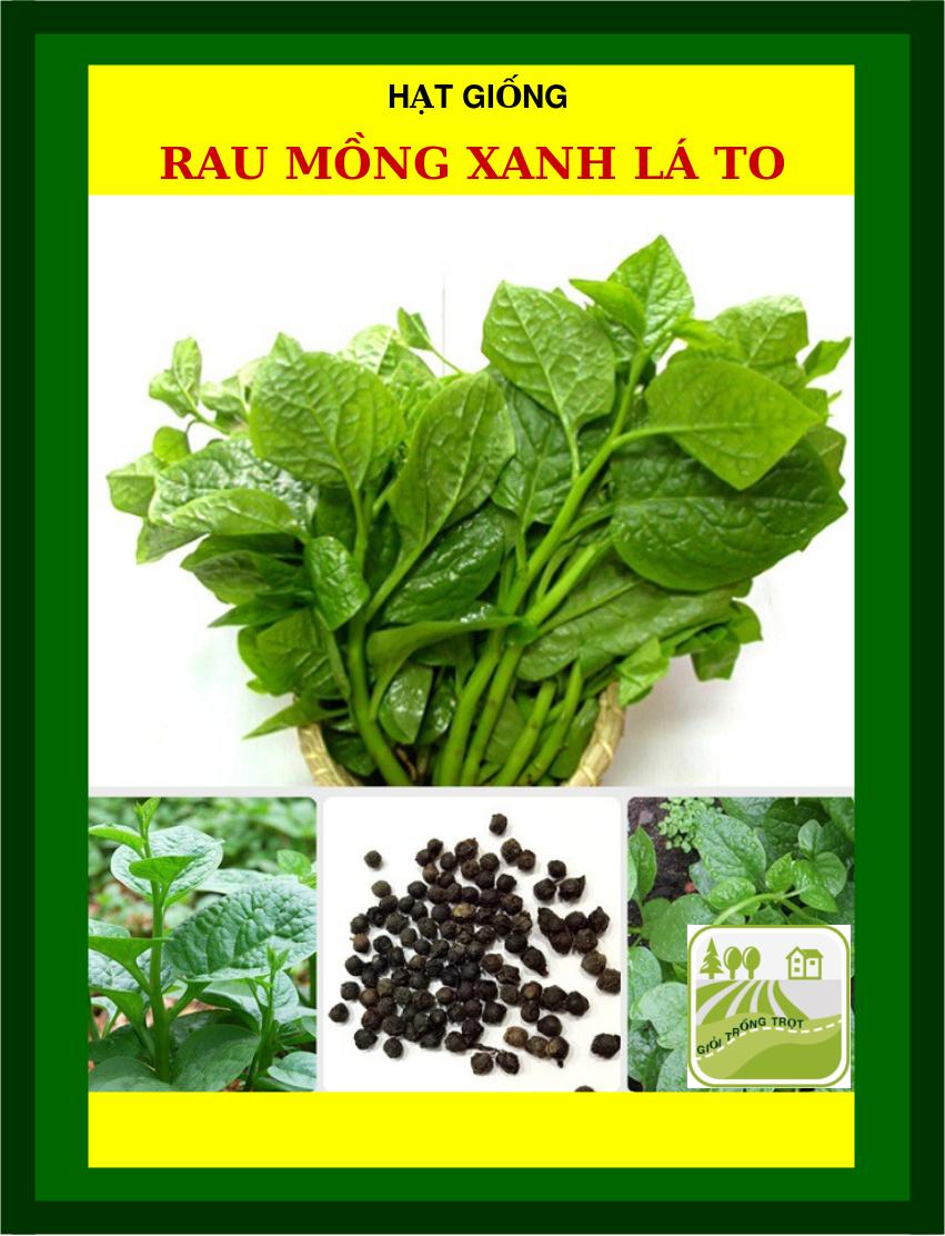 Hạt Mồng Tơi Đỏ, Xanh Lá To 50 Gram