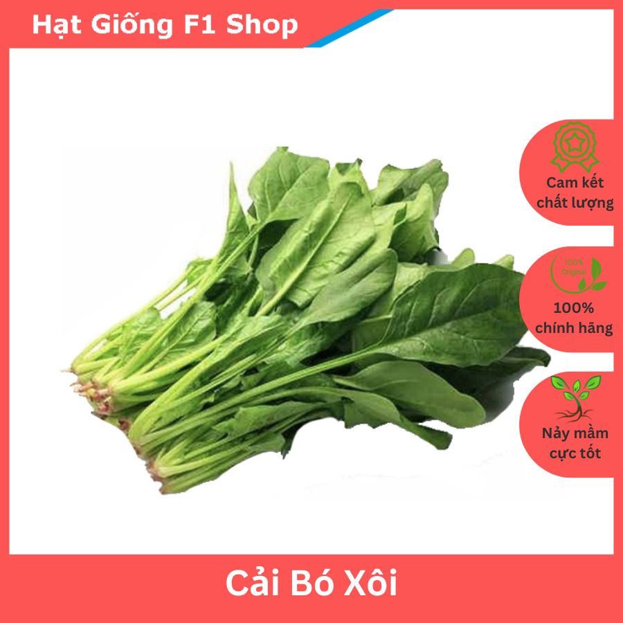 Hạt Giống Cải Bó Xôi F1 Chịu Nhiệt - Gói 20 Gam