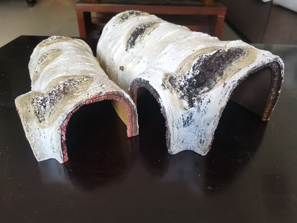 Hang trú hình khúc cây cao cấp dành cho bò sát