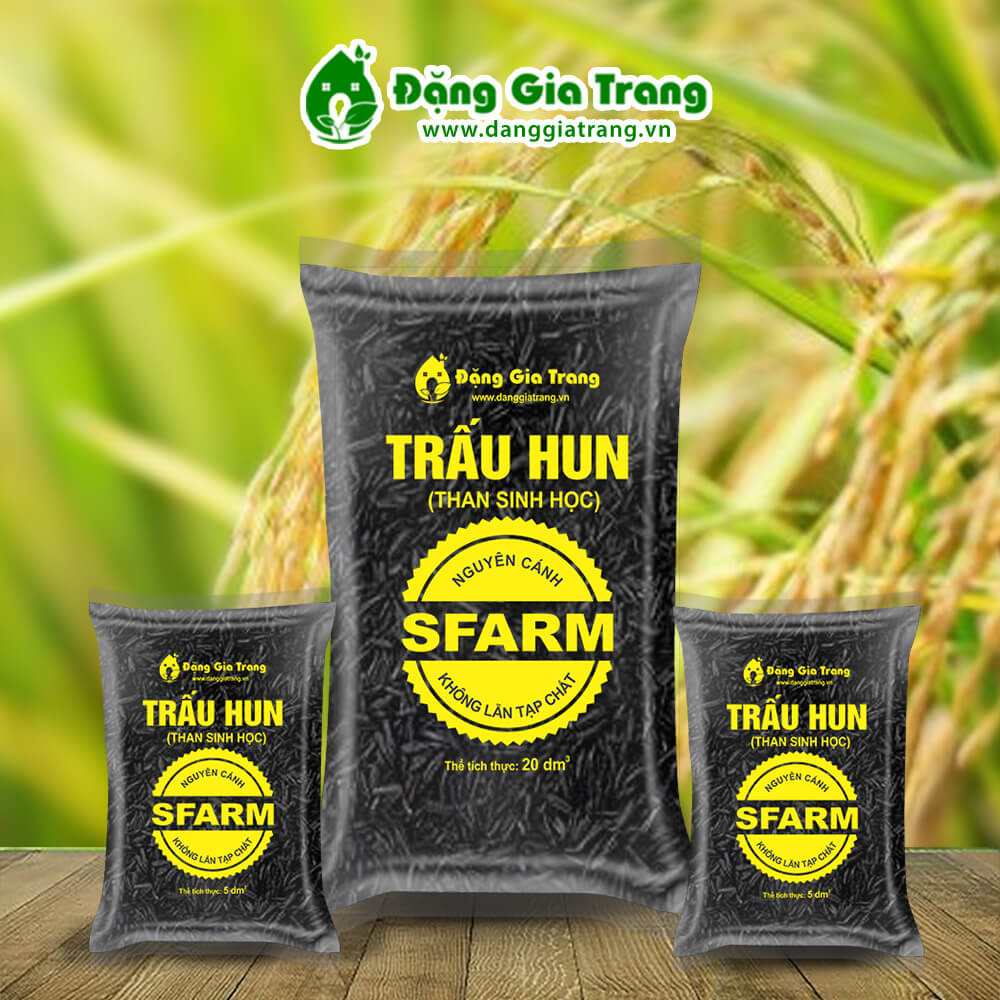 Trấu hun nguyên hạt Sfarm/ Than sinh học Biochar trộn giá thể, phủ mặt chậu
