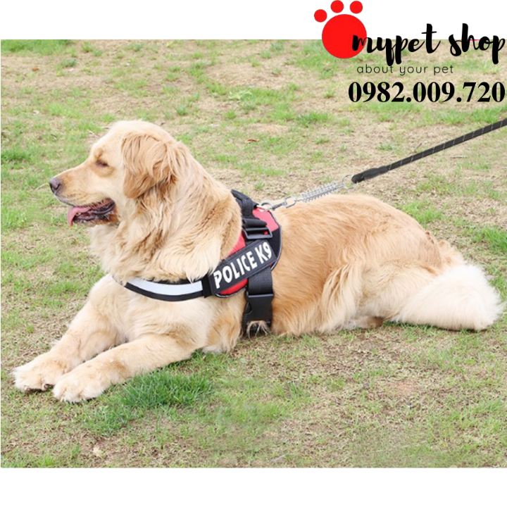 Dây dắt chó trợ lực
