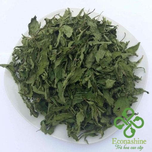[HCM]Trà Cỏ Ngọt Cao Cấp 25gr