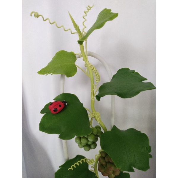 Chậu nho đất sét cao 42cm